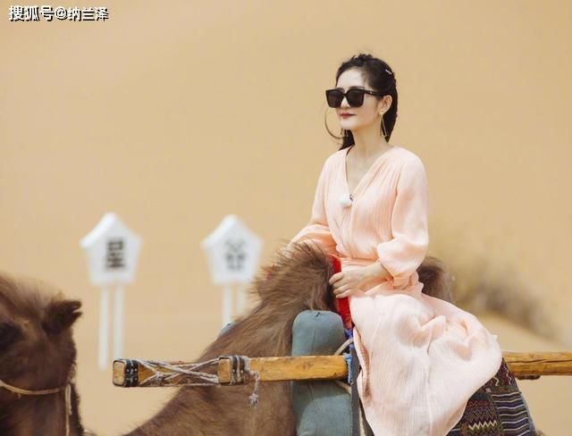 原因|《浪姐》吴昕、沈梦辰没复活疑曝光谢娜不来乘风破浪的原因