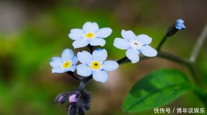  之人|8月开始财运一旺再旺，事业一直发，全家享福的四大生肖