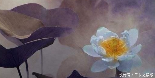  生命中|人生中会遇到的三个贵人，别轻易就错过了