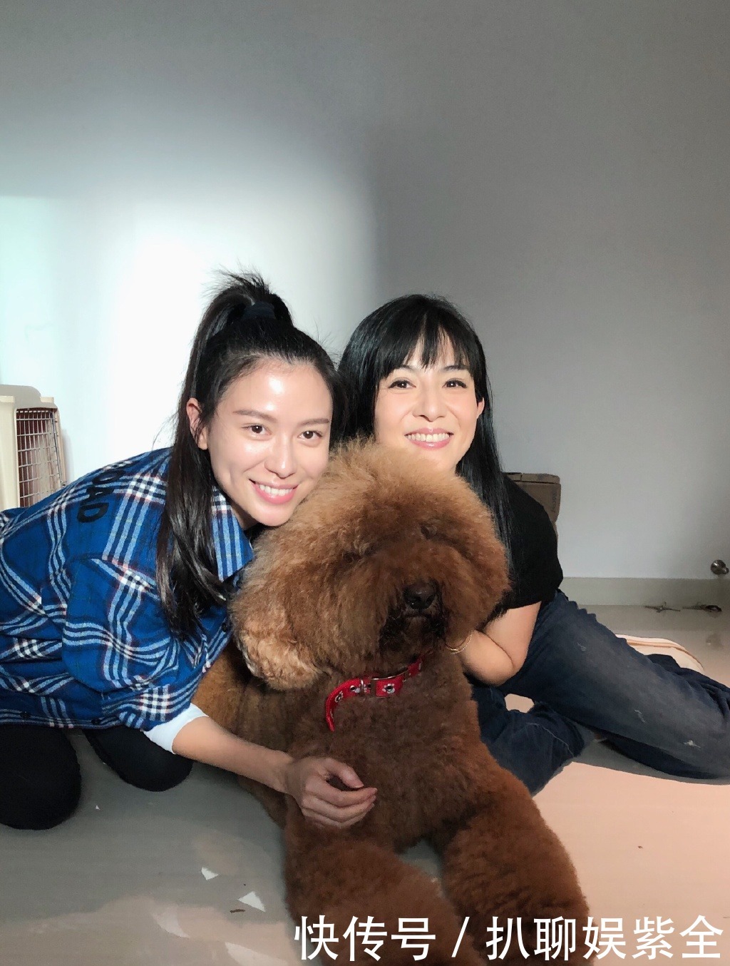  迟暮|美人不迟暮！杨采妮的图集