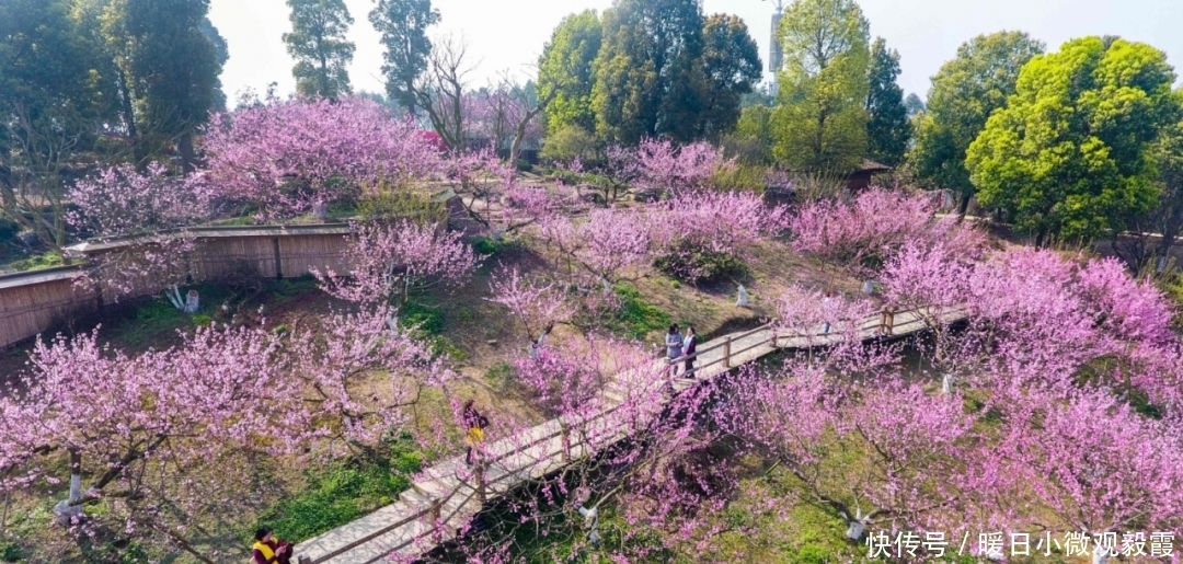  浅谈|浅谈秀丽东方IP对成都公园城市建设的借鉴作用