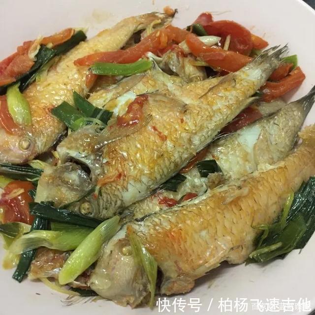 方头鱼|女性必吃的一种海鱼