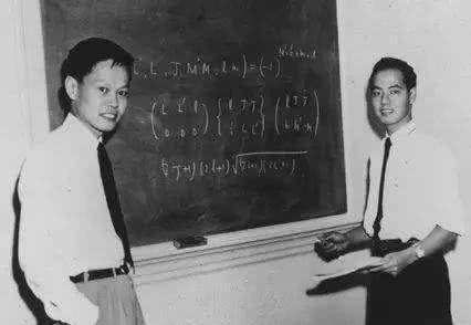 爱因斯坦|杨振宁:受邀和爱因斯坦交流1.5小时,但什么也没学到,很遗憾