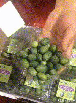  GIF|搞笑GIF：这种品种的西瓜还是第一次见，这是真的小
