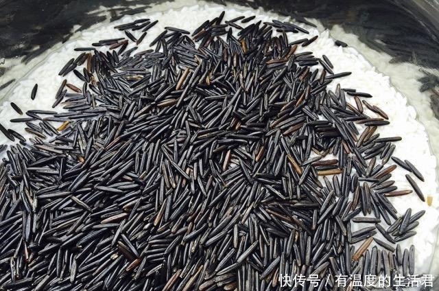 世界|世界“最贵最长”的大米,人称“土豪米”,产自中国却吃不起!