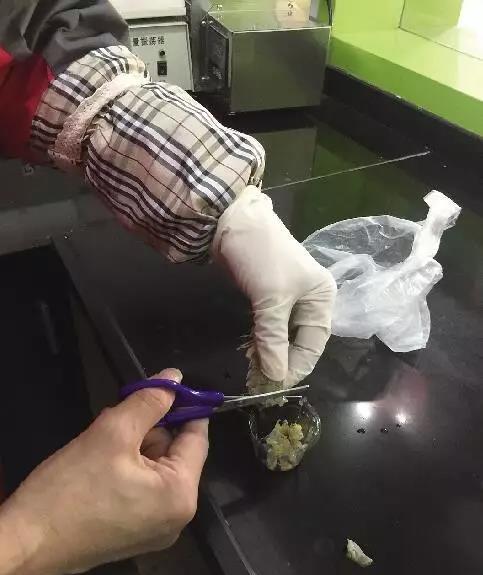 皮皮虾|买了一斤65的皮皮虾菜,全熟了吃还是不吃