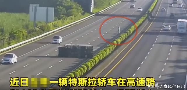  报废|特斯拉开启辅助驾驶，时速110km／h撞上大货车，车身直接撞报废