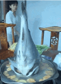 喜欢|搞笑GIF趣图:舍友最喜欢这样躺着玩手机,你们知道为什么吗?