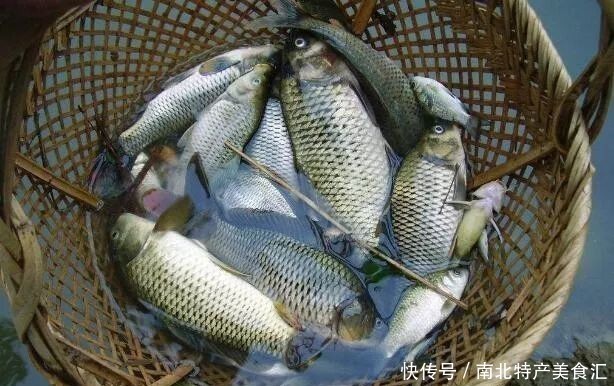 土鸡|去走亲戚，最爱带的10大特产