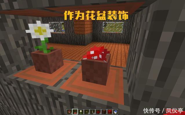 用途|我的世界:蘑菇有什么用?萌新只知道吃,在老手手中有6种用途!