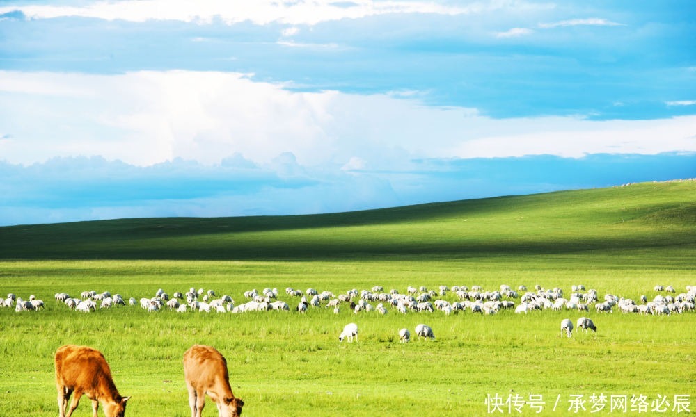 一碧千里,牧歌悠扬,随手一拍都是天堂般的