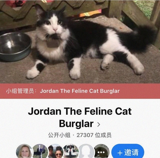 晚上|我寻思一只猫晚上能干啥?直到方圆几十里的邻居都跑我家来找鞋