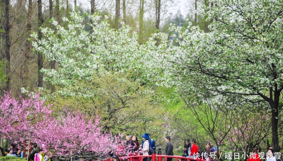 浅谈|浅谈秀丽东方IP对成都公园城市建设的借鉴作用