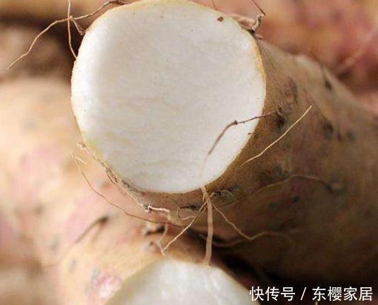 无忧|菜农偷偷提醒我,这种山药不能买,学会这些诀窍,饮食健康无忧