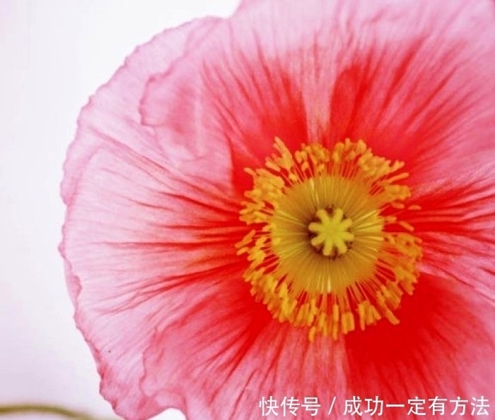 走心|经典走心的句子人生很多事，不是不懂，只是无奈，这就是生活