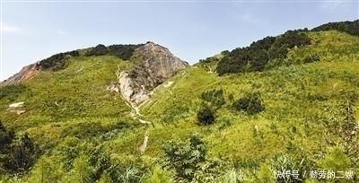  宝山|抓环保 大宝山重获新生