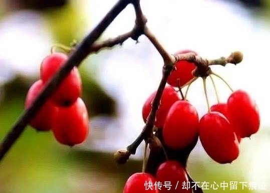  处世|真正厉害的人，往往具有这4种处世智慧，早晚出人头地