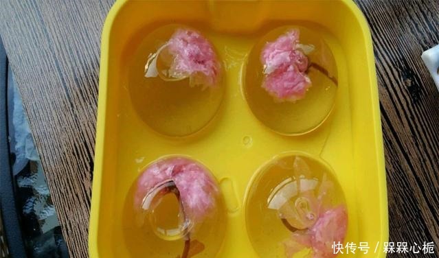 樱花|冰粉也能做得高大上,刷爆朋友圈的水信玄饼自己就能做