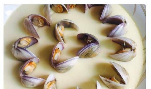  柔滑|蛤蜊蒸蛋，蛤肉是美味的，蒸蛋是柔滑的，充满色香味