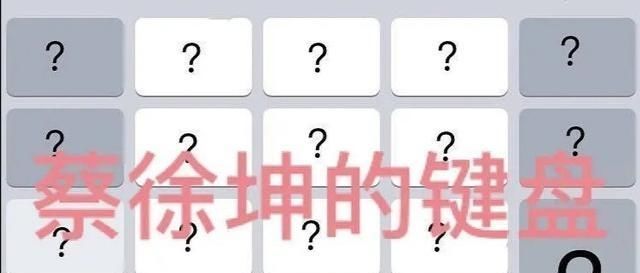 何炅维嘉|蔡徐坤成立新乐队做主唱,何炅维嘉当配角,同一姿势呈现三种效果