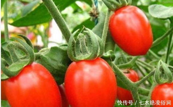 没想到|没想到最脏的水果是它!我们每天都在吃,草莓也上榜了!