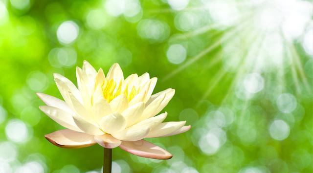 心情|句句现实的心情短语,精辟噎人,火爆朋友圈