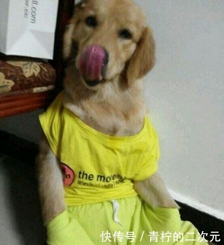 妹子|妹子真是想的周到啊,哥们你就将就过吧!