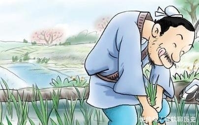 研究|国民的浮躁心态