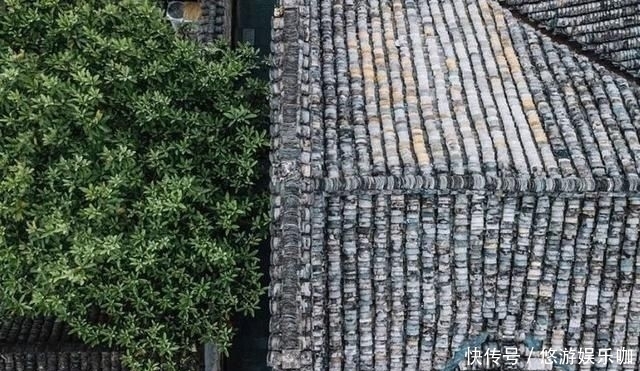 季节|人这一生,最难活出自己的季节