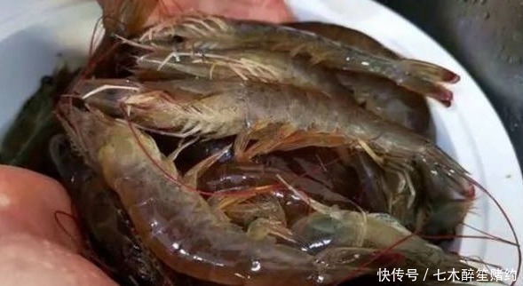渔民|保存大虾时,直接放冰箱是不对的,老渔民教你一招,放1年都新鲜