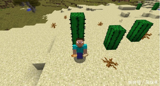 农业物品|在《我的世界》中摆地摊卖什么最赚钱?第一名稳妥月入百万