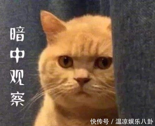 恋爱|“忙,没空,没兴趣”三十来岁的小伙拒绝恋爱