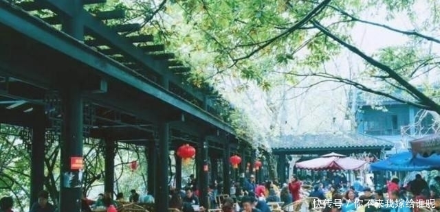 成都|中国最安逸的城市,一个去了就不想走的城市,游客“懒得”回去