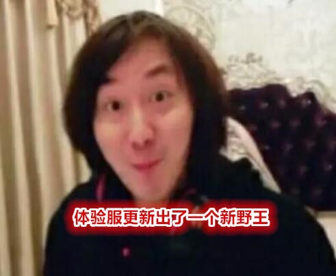 标配|张大仙宣布新野王诞生，史诗级加强胜率登顶，“核爆流”出装成国服标