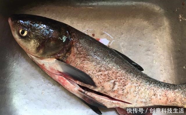 爷俩|宅家不能出门,给爷俩做了一道菜,上桌筷子打架,吃完还说不够