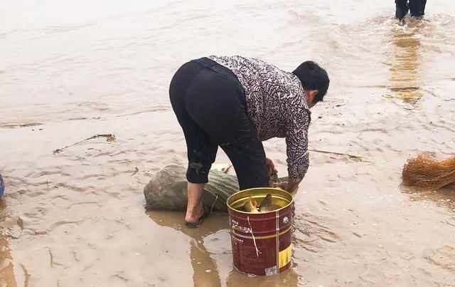 鲤鱼|黄河放生台,大鲤鱼蹦跶两下就被捞上来谁将放生变成杀生