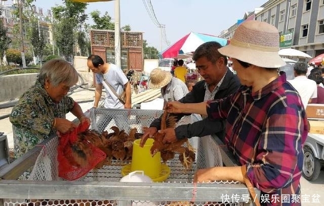 后路|男子拉着一车野兔去卖,50元一只很便宜,近看后路人都变了脸色