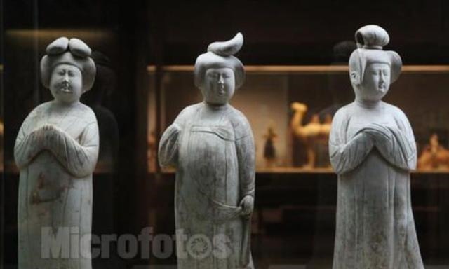 姑娘|唐朝真的是以胖为美么胖姑娘们都醒醒吧,就算穿回去也不是美人