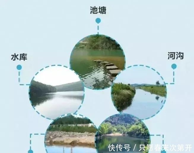 事故|防溺水,刻不容缓!为了孩子,必须提防“夏日杀手”!