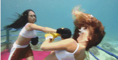 可行|搞笑GIF：妹子这一招，抓苍蝇可行吗？
