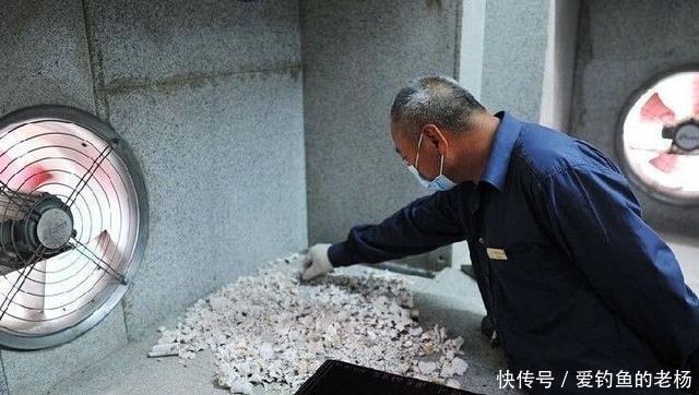 丧葬方式|火葬场人员透露,有一种尸体谁都不敢烧,即使家属要求也不行