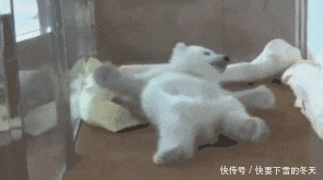 新郎|搞笑GIF：苍天啊！大地啊！为什么新郎不是我！我不甘心啊