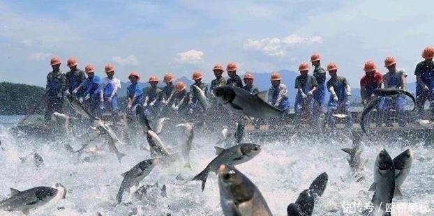 生产|我们不生产水，我们只是大自然的搬运工。农夫山泉厂被农夫山泉淹了？