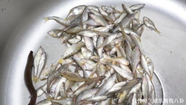 鱼肉|炸鱼的时候是裹“淀粉”还是“面粉”,裹对“粉”让小鱼又香又脆