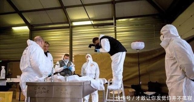 离奇|1994年, 美国小镇发生一起离奇案, 经过侦查判断, 凶手是其本人!