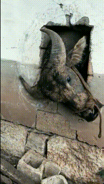  看不清楚|搞笑GIF：哎呀，不好意思，泳镜上起雾，看不清楚，我再来一次