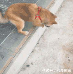  gif|搞笑gif：为了藏5元私房钱，又逼疯了一个