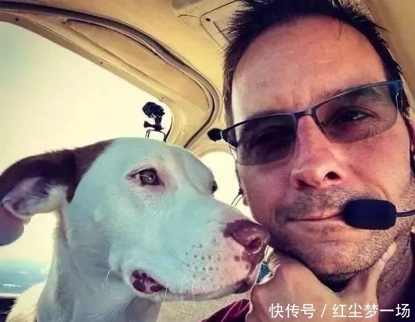 收容所|工程师贷款买飞机,2年来救助上千只毛孩,帮助它们逃离安乐死