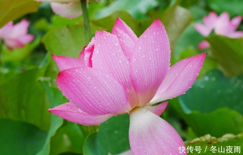 属相|7月下旬开始财厚运旺,有贵人支持,富贵跟着走的三大属相