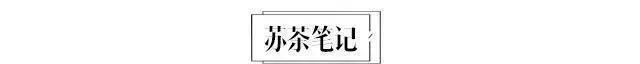 江苏|焖肉面锅盖面皮肚面长鱼面，江苏人为什么对面条谜之喜爱